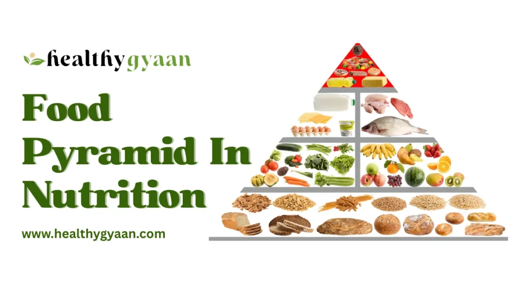 food pyramid in nutrition