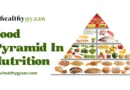 food pyramid in nutrition