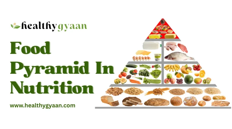food pyramid in nutrition