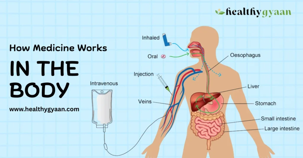 How Medicine Works in the Body