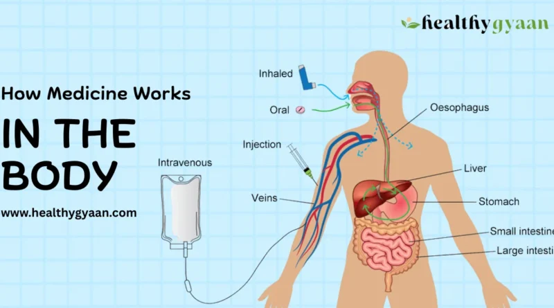How Medicine Works in the Body