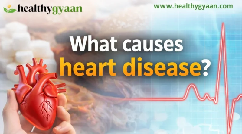 What causes heart disease