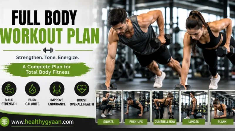 Full Body Workout Plan